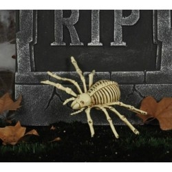 Pók csontváz Halloween dekoráció
